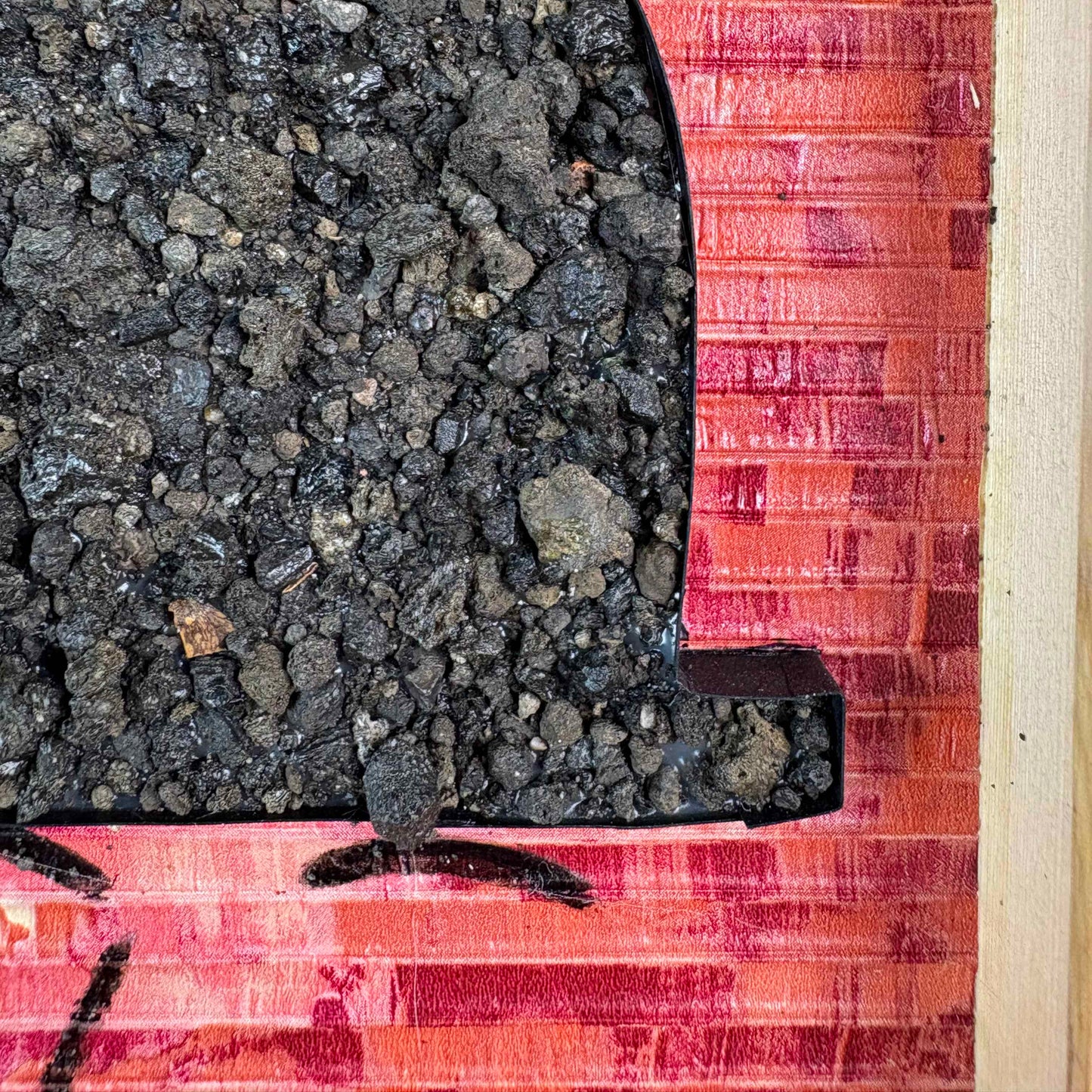 Un principe senza casato 6