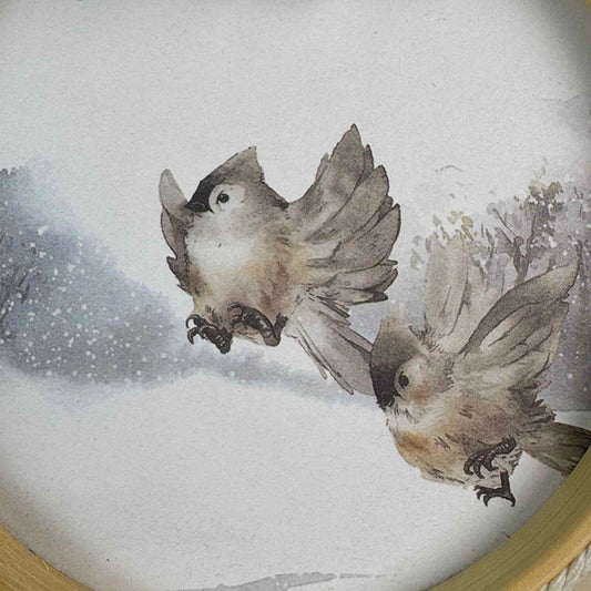 Animali fantastici 1