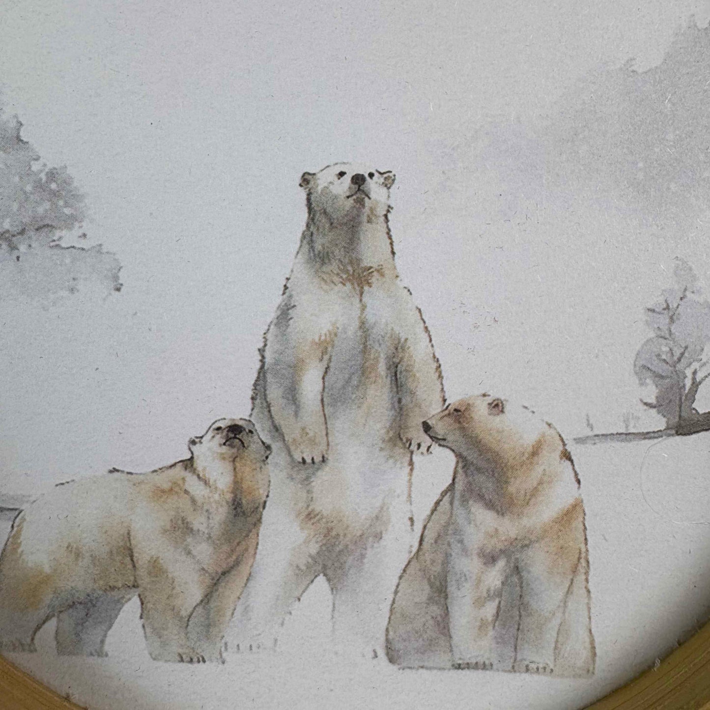 Animali fantastici 1