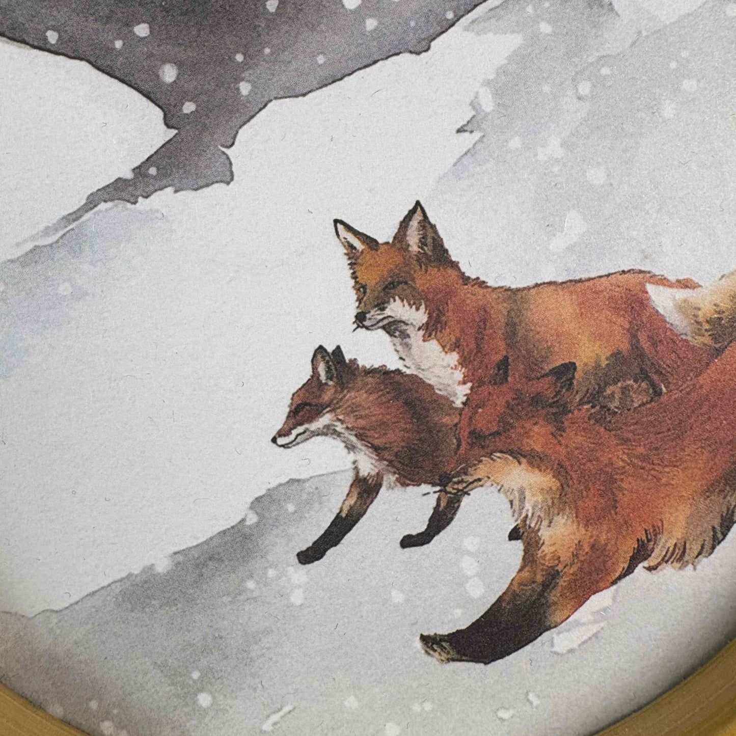 Animali fantastici 1